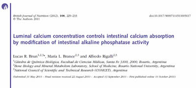Luminal calcium concentration controls intestinal calcium absorption by modification of intestinal alkaline phosphatase activity